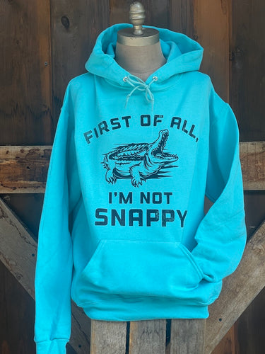 I'm not SNAPPY Hoodie- Turquoise